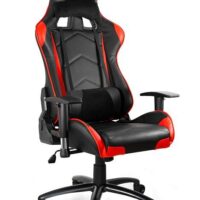 M Italia - DYNAMIQ V5
